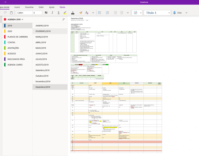 OneNote - José Malcher Jr