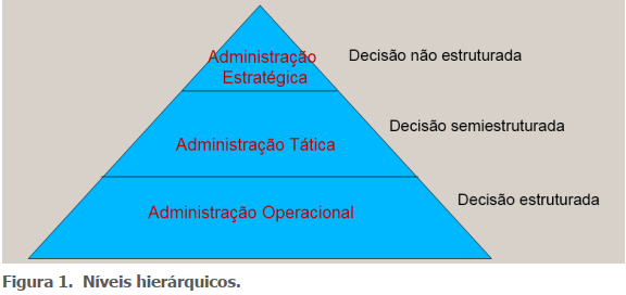 Figura 1. Níveis hierárquicos.