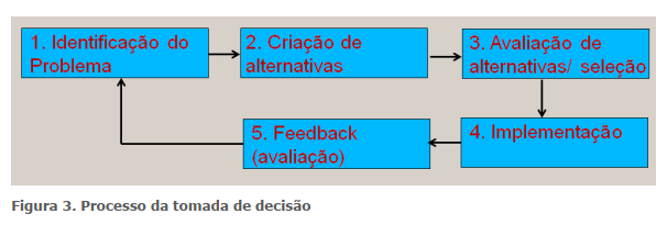 Figura 3. Processo da tomada de decisão